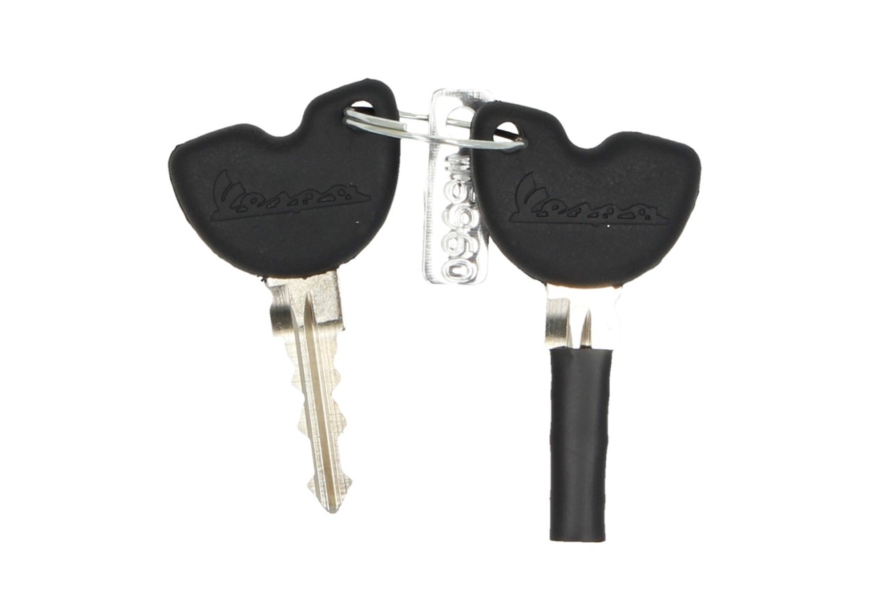 Topcase original para Vespa GTS - red dragon / passione / 894